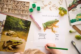 ActivitÃ©s sur la grenouille, les Ã©tangs et riviÃ¨res en maternelle ...